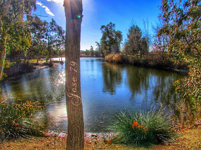 Parque Enrique Tierno Galván en San Martín de la Vega. Parque
