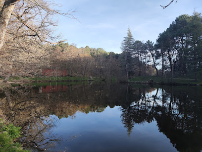 Las Navas del Marques - Parque Eólico en Las Navas del Marqués. Zona de senderismo