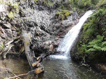 Ruta de las Fuentes Medicinales de Noceda en Noceda. Zona de senderismo