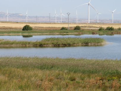 Lagunas de Agón y Plantados en Agón. Reserva natural