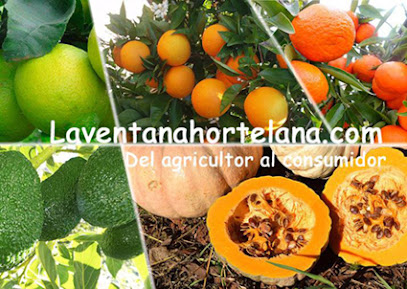 la ventana hortelana.com - Esteban Juan en Rótova. Agricultura