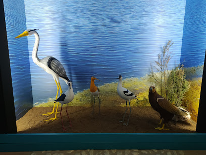Centro de interpretación Reserva Natural Lagunas de Campillos en Campillos. Museo
