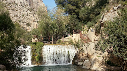 Abonabe sl en Callosa de Ensarriá. Centro de jardinería