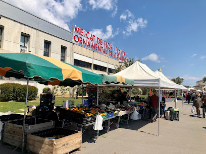 Mercat de Flor i Planta Ornamental de Catalunya en ViIassar de Mar. Mercado de productos agrícolas