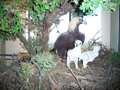 Centro de Educación Ambiental El Águila en Chapinería. Oficina de medio ambiente