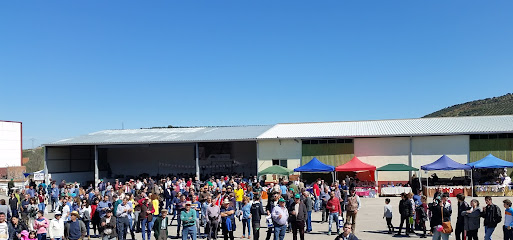 San Sebastián de Belvís de La Jara S.coop. S.L.M. en Belvís de la Jara. Almazara