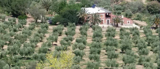 Cortijo Colorao en Cádiar. Empresa de embotellado de aceite de oliva