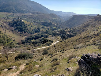 El Bosque Monachil en Monachil. Asociación sociocultural