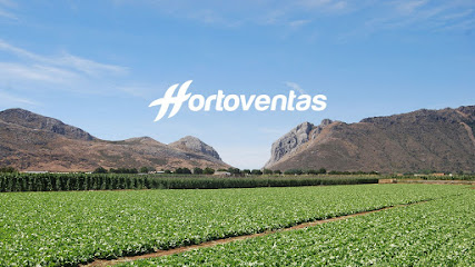 Hortoventas en Ventas de Zafarraya. Mayorista de frutas y hortalizas