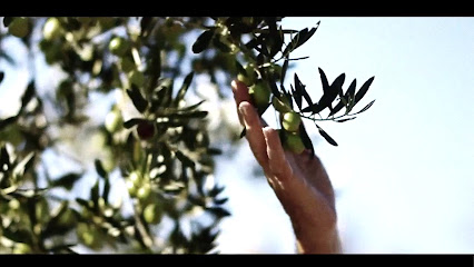 Orolivia - Venta de Aceite Oliva Virgen Extra Ecológico en Almodóvar del Río. Almazara