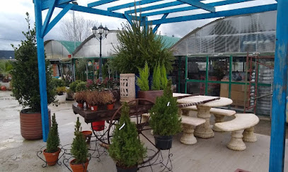 A Campiña de Lemos en Monforte de Lemos. Centro de jardinería