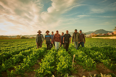 Ecogroup Spain en Motril. Mayorista de frutas y hortalizas