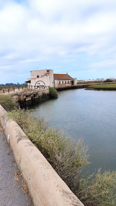 Ecomuseo Molino Mareal El Pintado en Ayamonte. Lugar de interés histórico