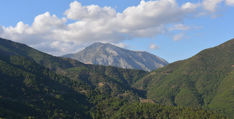 Castaño Santo