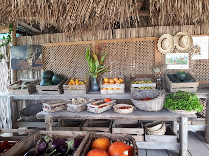 Finca ecologica en Santa Eulalia del Río. Tienda de alimentación