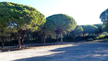 Pinar de la Dehesa de las Yeguas en Puerto Real. Parque