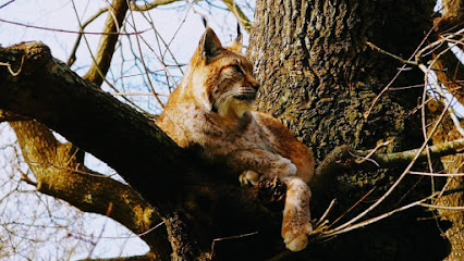 bbk Karpín Fauna en Biañez. Parque de animales