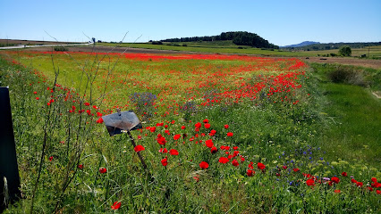 ECOPARC FONTANARS DELS ALFORINS en Fontanares. Parque ecológico