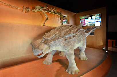 Dinopolis Valcaria en Ariño. Museo