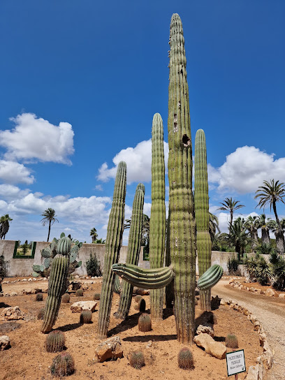 Botanicactus S.L. en Las Salinas. Jardín