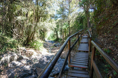 Camí del Rec en La Selva del Camp. Zona de senderismo
