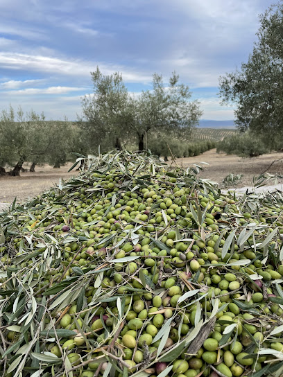 La Biodiversa Aceite de Oliva Virgen Extra Premium en Arjona. Empresa de embotellado de aceite de oliva