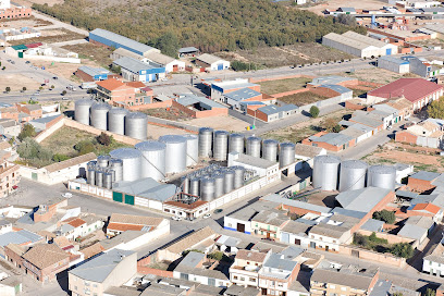 COOPERATIVA VINICOLA NTRA.SRA DEL CARMEN COOP en Miguel Esteban. Cooperativa agropecuaria