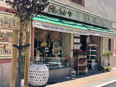 Olis Solé - botiga i museu (tienda y museo) shop and museum en Mont-roig del Camp. Tienda de alimentación
