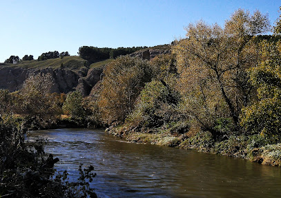 Parque Regional del Sureste en San Martín de la Vega. Reserva natural