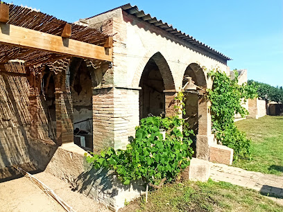 horts comunitaris en Castelló d'Empúries. Huerto