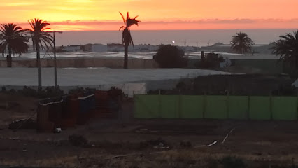 Alquiler de Huertos Ecológicos en Santa Lucía de Tirajana. Granja