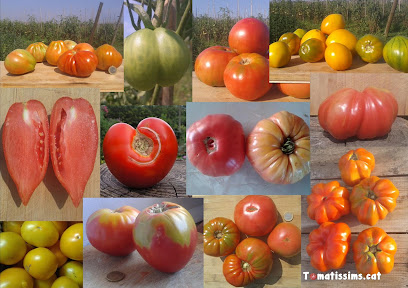 Tomatissims en Sant Pere Pescador. Mayorista de frutas y hortalizas
