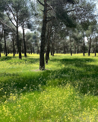 Parque de Las Presillas en Alcorcón. Parque ecológico
