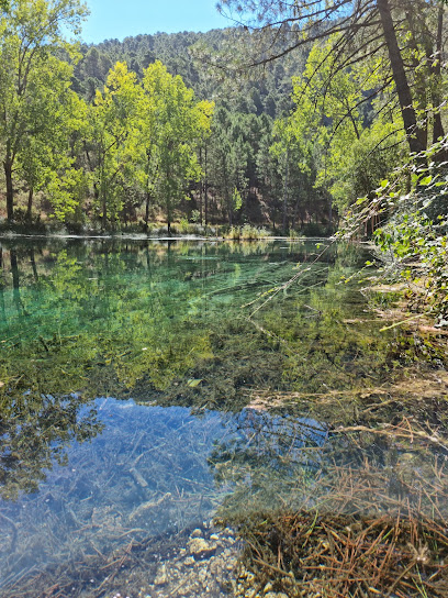 Presa Arroyo Frío. en Cotillas. Reserva natural