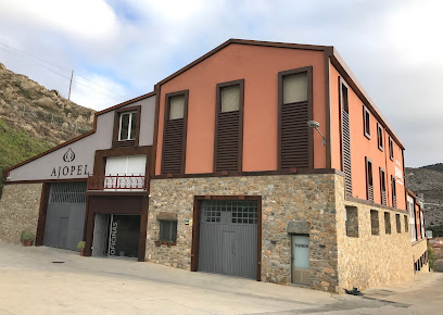 Ajopel en Muro de Aguas. Mayorista de frutas y hortalizas