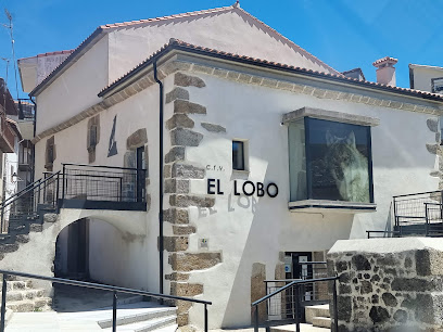 Centro De Visitantes El Lobo en La Garganta. Museo de historia natural