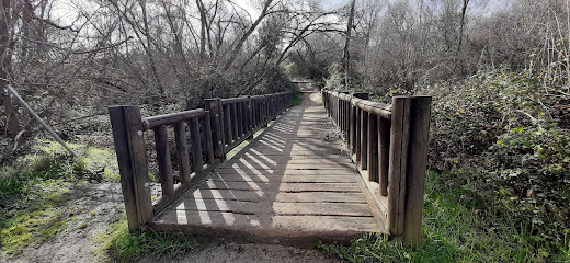 Senda Botánica de Villanueva de la Cañada en Villanueva de la Cañada. Zona de senderismo
