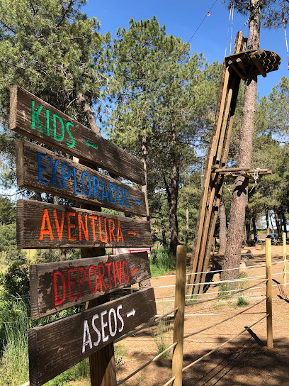 Aventura Entrepinos VIZNAR Granada en Viznar. Centro de deportes de aventura