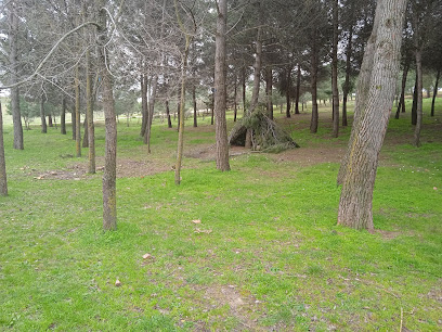 Merendero Esparrales en Meco. Parque ecológico