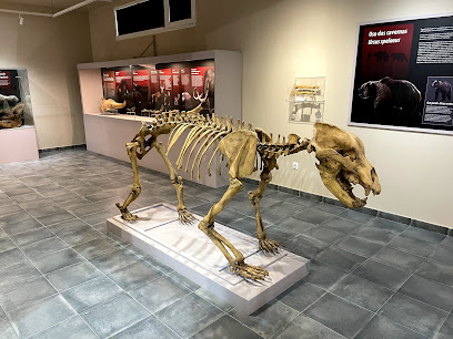 Museo Geológico en Quiroga. Museo