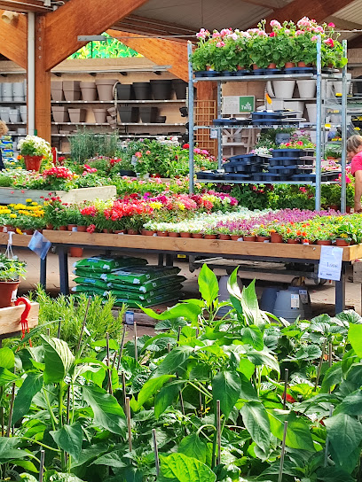 Verdecora en Majadahonda. Centro de jardinería