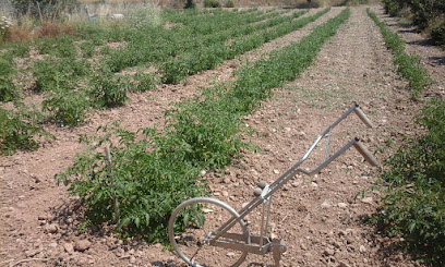 APAEMA