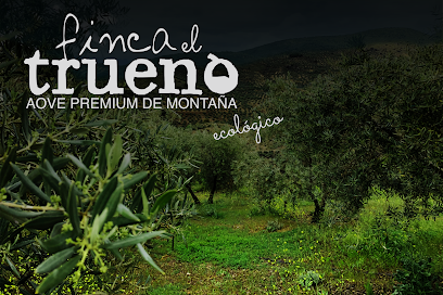 Finca el Trueno I Aceite de Oliva Extra Virgen Premium Ecológico en Arbuniel. Molino