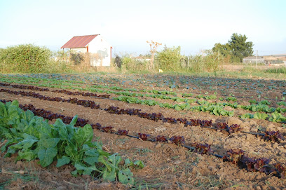 Hermisenda Huerta Natural en Encinarejo de Córdoba. Huerto