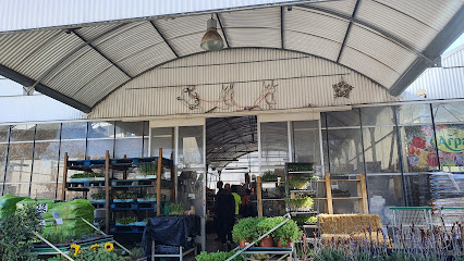 CENTRE DE JARDINERIA TERRA NOSTRA S.L. en Moncada y Reixach. Centro de jardinería