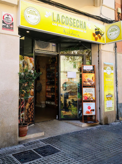 La Cosecha en Palma. Tienda de alimentación