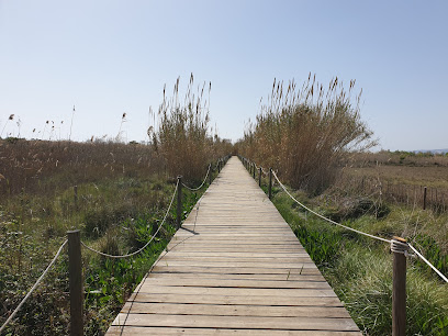 Espacios Naturales del Delta del Llobregat en El Prat de Llobregat. Reserva natural