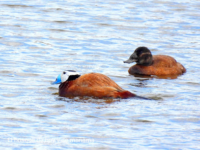Lagunas de Bonanza en Sanlúcar de Barrameda. Zona de senderismo