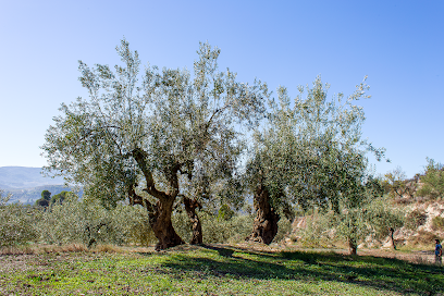 Almàssera de Millena en Millena. Almazara