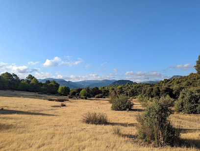 Llanos de Palomares en Cárcheles. Reserva natural